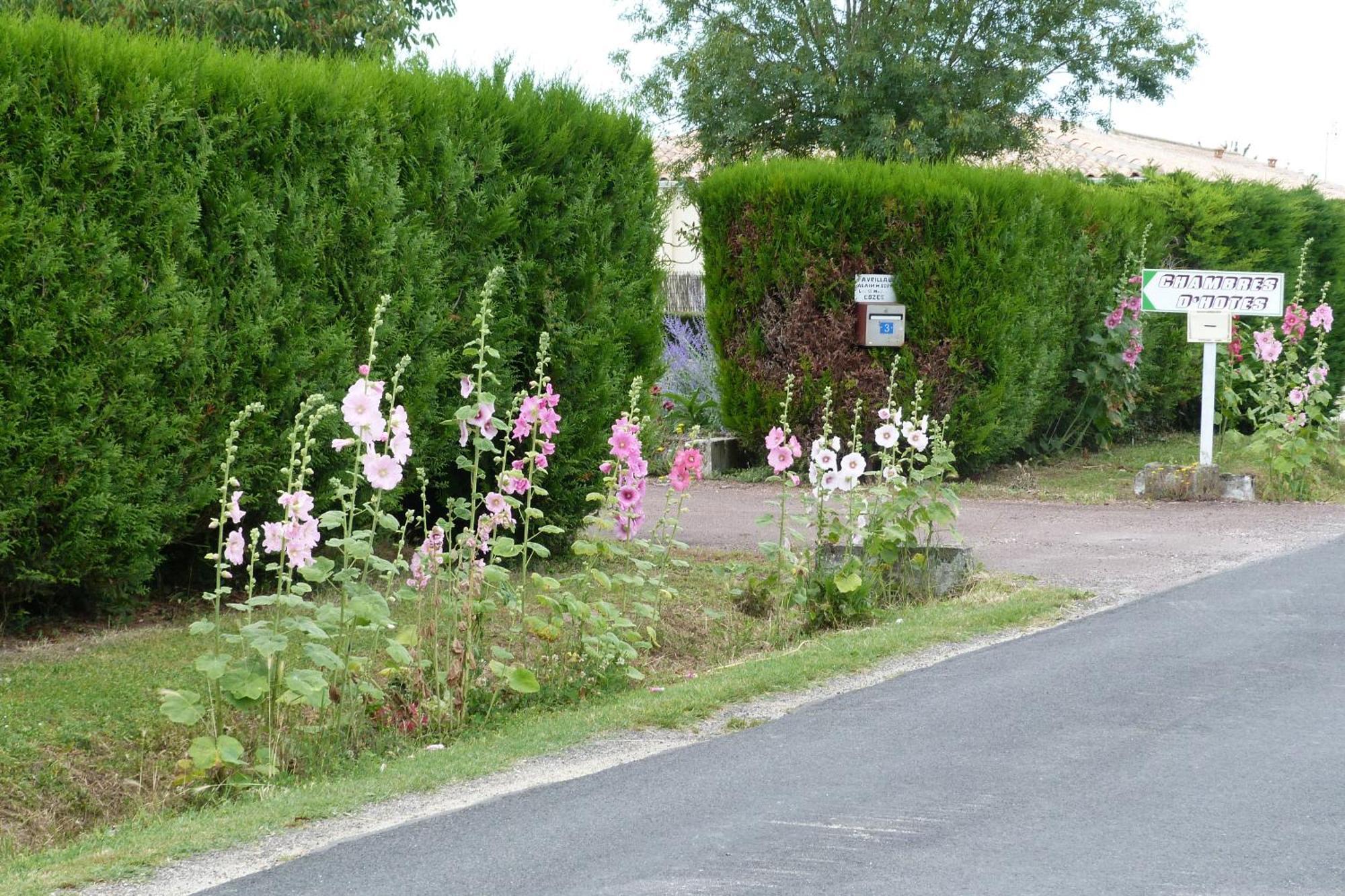 Chambre D'Hotes Les 3 Moulins Cozes Exterior foto