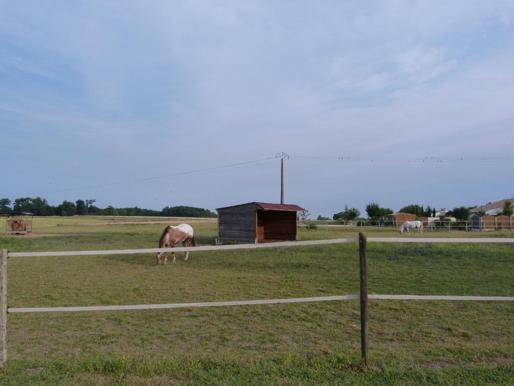Chambre D'Hotes Les 3 Moulins Cozes Exterior foto