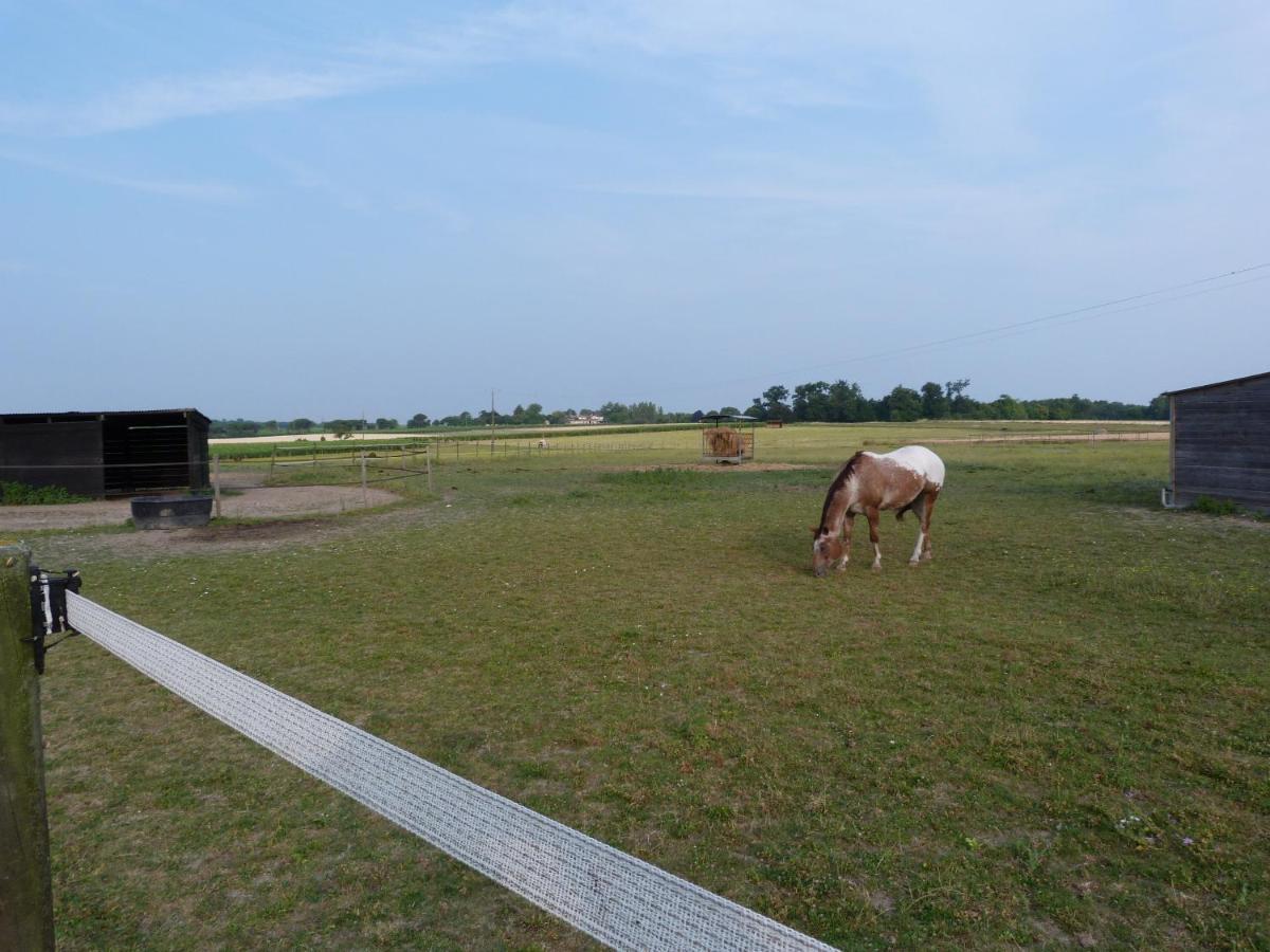 Chambre D'Hotes Les 3 Moulins Cozes Exterior foto